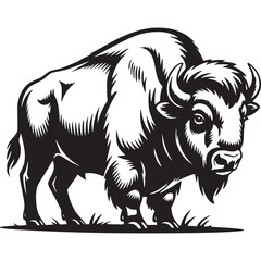 Obraz premium Vector art of american bison illustration