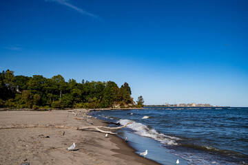 View of Rouge Beach in Rouge National Urban Park.