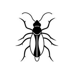 Illustration of a black beetle bug on transparent background