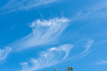 white wind blown clouds in a blue sky