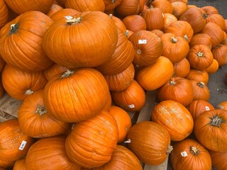 A large pile of bright orange pumpkins displayed on wooden pallets at a market, symbolizing autumn harvest and Halloween season.