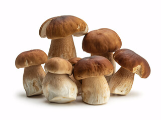 Fototapeta premium Fresh porcini mushrooms, perfect for gourmet cooking, enhance your culinary creations with earthy goodness, ideal for restaurant menus and food blogs