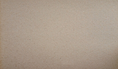 Neutral brown cardboard surface for background design, packaging, and product photography