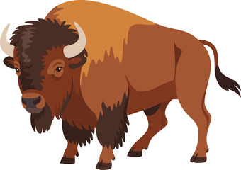 Wild bison standing in profile, North American wildlife animal illustration with detailed fur and horns, nature symbol – cad drawing flat vector illustration © Biplob Creatives