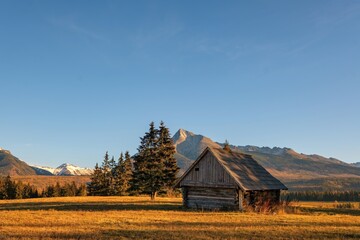 A small wooden cabin in a peaceful alpine meadow, surrounded by pine trees and majestic mountains, bathed in the warm light of sunset in autumn.