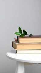 Stacked books on a white table with a sprig of green leaves