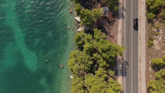 Aerial drone view of a scenic coastal road running along the turquoise Adriatic Sea. Cars drive between pine trees and the rocky shoreline, capturing the essence of Mediterranean summer travel