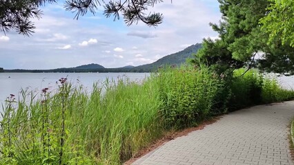 A beautifully scenic lakeside pathway meandering through lush greenery and vibrant nature