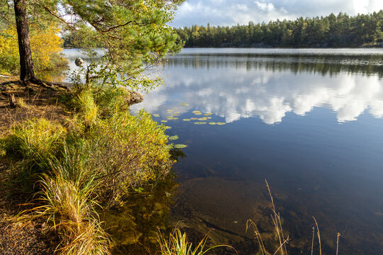 Picturesque Autumn Landscape with Lake Reflections