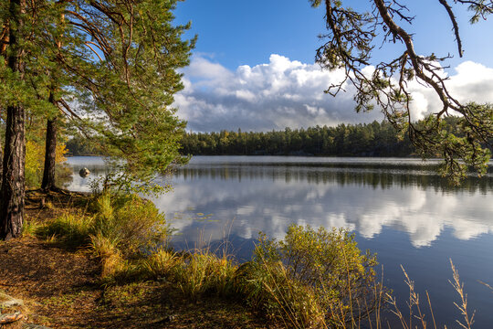 Sunlit Lake Surrounded by Autumn Foliage