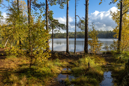 A Quiet Lake in the Heart of Autumn