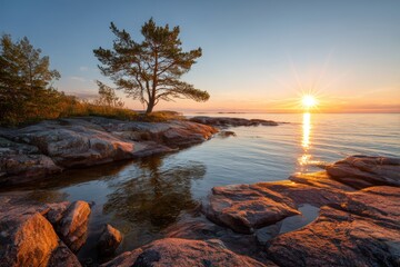 Beautiful sunset rays of sun with clean nordic nature, pine tree on rocks in North Europe, Baltic sea, gulf of Finland
