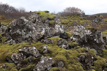 Lava Stones in Iceland
