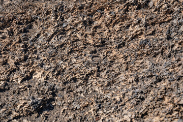 Basalt (Quaternary). Devils Orchard Nature Trail. Craters of the Moon National Monument & Preserve....