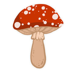 fly agaric mushroom, red fly agaric on a transparent background 