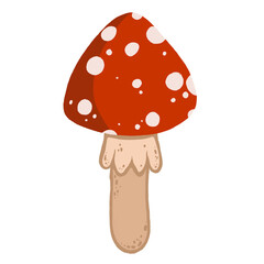 agaric mushroom, mushroom on transparent background sticker