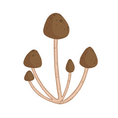 mushrooms isolated on white background 