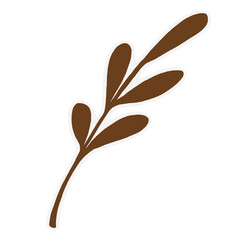 branch with leaves, autumn brown leaf on a transparent background 