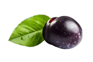 Studio Shot of a Single Wet Purple Plum with Green Leaf Isolated on Transparent Background