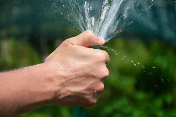 A man's hand holds a watering hose and closes the hole with his thumb, allowing jets of water to flow out. The spray evenly waters the ground.