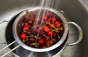 Washing fresh cherries under running water. A delicious, ripe berry, plucked from the tree and sent to the kitchen. Vitamins and minerals. A sweet and healthy dessert.