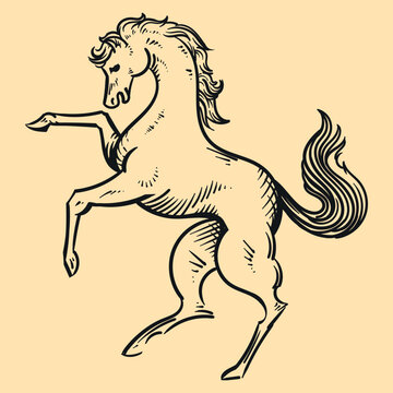 Horse engraving illustration, retro, vintage, linocut design year of the horse 2026