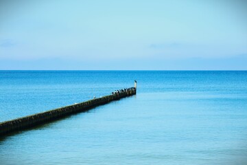 Ku spokojowi © Jenesis