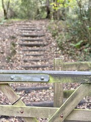 A rustic wooden kissing gate opens onto a woodland trail, leading to a natural staircase framed by trees and autumn leaves. A peaceful, scenic path ideal for countryside walks and nature lovers.