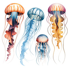 Colorful Jellyfish Illustration Collection &ndash; Vibrant Underwater Sea Life Vector PNG,watercolor jellyfish with different colors,blue,Illustration,Colorful Jellyfish isolated on transparent background,A