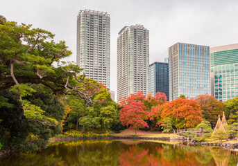 Fototapeta premium Hamarikyu gardens with Shiodome skyscrapers at background in autumn, Tokyo, Japan