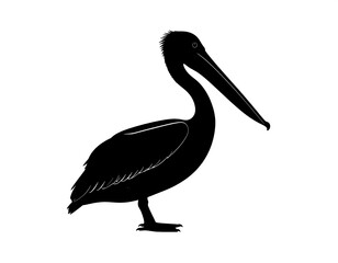 Silhouette of a large bird with a long beak, standing gracefully