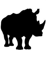 Silhouette of a large, horned, four-legged animal on white backdrop