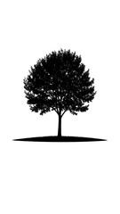 Silhouette of a leafy tree with a thick trunk on a white backdrop