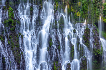 MacArthur-Burney Falls in Northern California