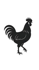 Silhouette of a rooster in a walking pose, black against white