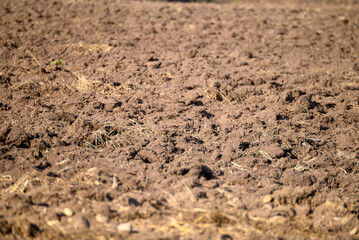 Freshly Plowed Field