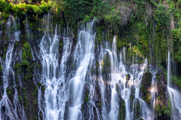 MacArthur-Burney Falls in Northern California