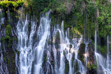 MacArthur-Burney Falls in Northern California