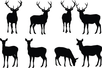 Silhouette deer collection with male and female variations, antler diversity, wildlife poses, zoological illustration, taxonomy reference, nature art