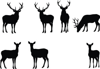 Silhouette deer collection with male and female variations, antler diversity, wildlife poses, zoological illustration, taxonomy reference, nature art