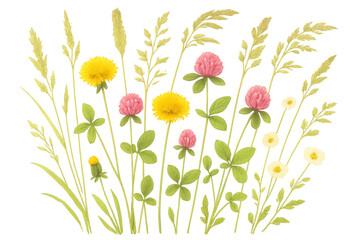 Wildflower meadow illustration featuring dandelions, clover, daisies, and various grasses on transparent background