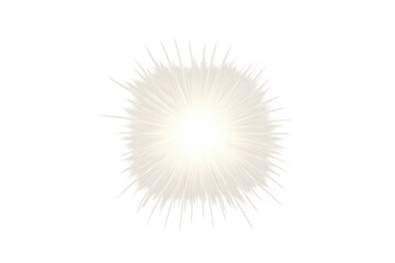 Obraz premium White light burst with radiating rays and glowing particles, abstract explosion effect on transparent background