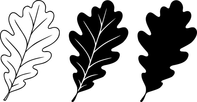 Oak leaf silhouette and outline vector black icon isolated illustration image decal design
