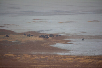 Antelope Island State Park