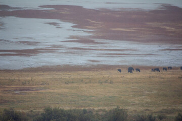 Antelope Island State Park