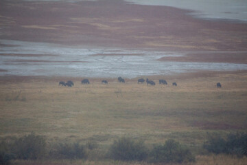 Antelope Island State Park