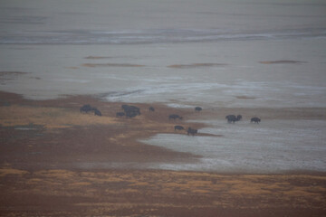 Antelope Island State Park