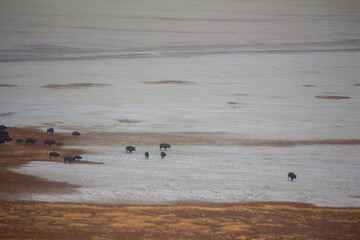 Antelope Island State Park
