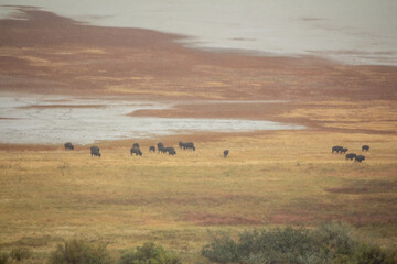 Antelope Island State Park