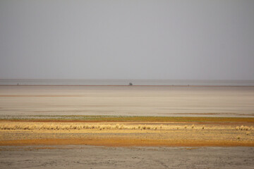 Antelope Island State Park